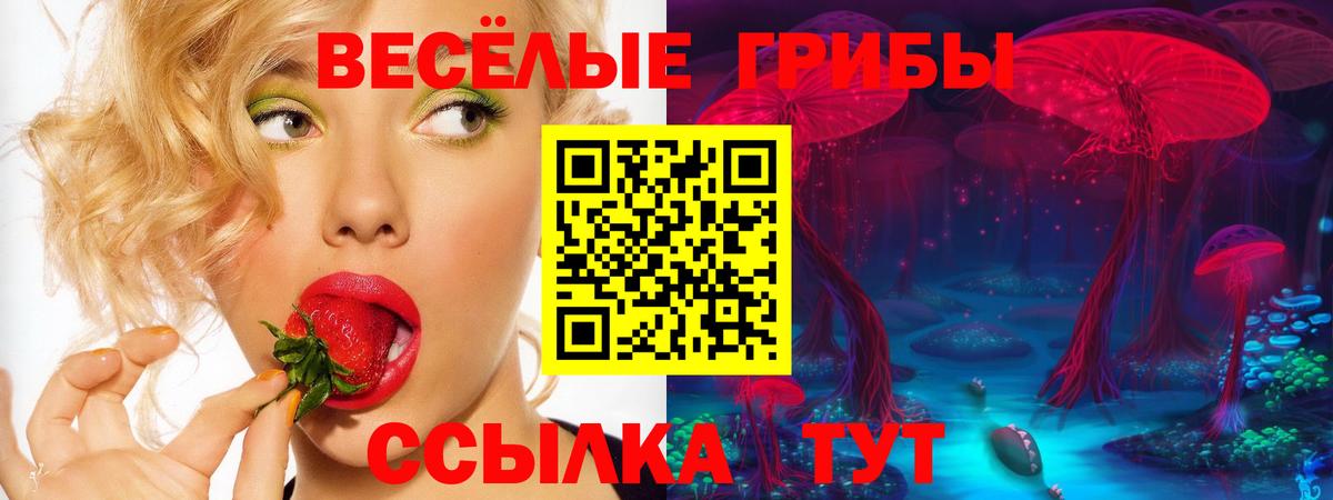 Губкинский  Галлюциногенные грибы Cubensis  Вход с VPN  Галлюциногенные грибы прущие грибы 